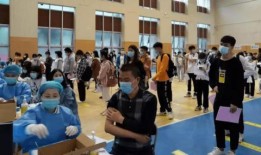 新湖总场爆料最新消息,最新动态揭秘